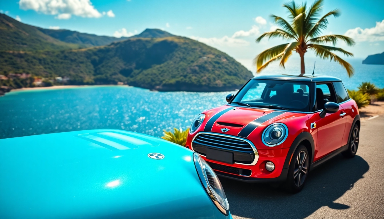 Affordable Mini Cooper St Barts Rental Options for Your Island Getaway